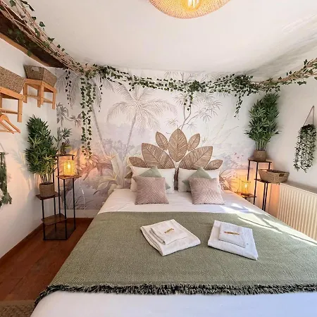 La Récréation, Duplex Pour Jouer, Et Cinéma Privé Appartement Sedan