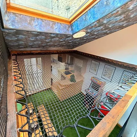 La Récréation, Duplex Pour Jouer, Et Cinéma Privé