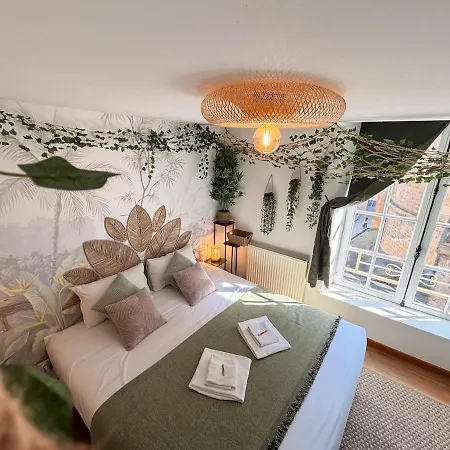 Appartement La Récréation, Duplex Pour Jouer, Et Cinéma Privé Sedan