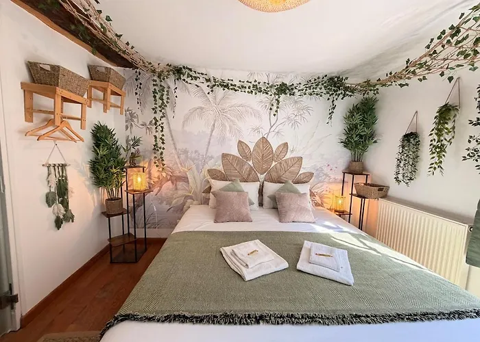 La Récréation, Duplex Pour Jouer, Et Cinéma Privé Appartement Sedan